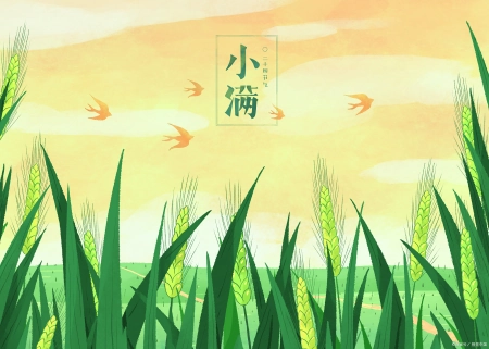 小满节气祝福语，小满节生活圆圆满满，思念之心牵牵挂挂